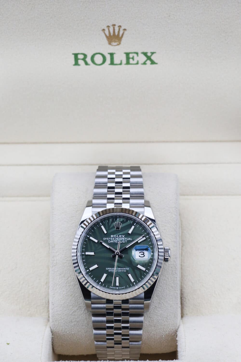 Rolex 126234 Palm Dial DATEJUST 36mm 2023 - Image 2